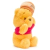 Winnie The Pooh Small Plush, Honey Day -Disney Store 415150174493 1