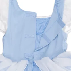 Cinderella Adaptive Costume For Kids -Disney Store 5502045240346M 3