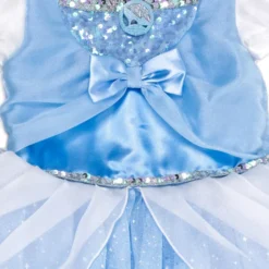 Cinderella Adaptive Costume For Kids -Disney Store 5502045240346M 5